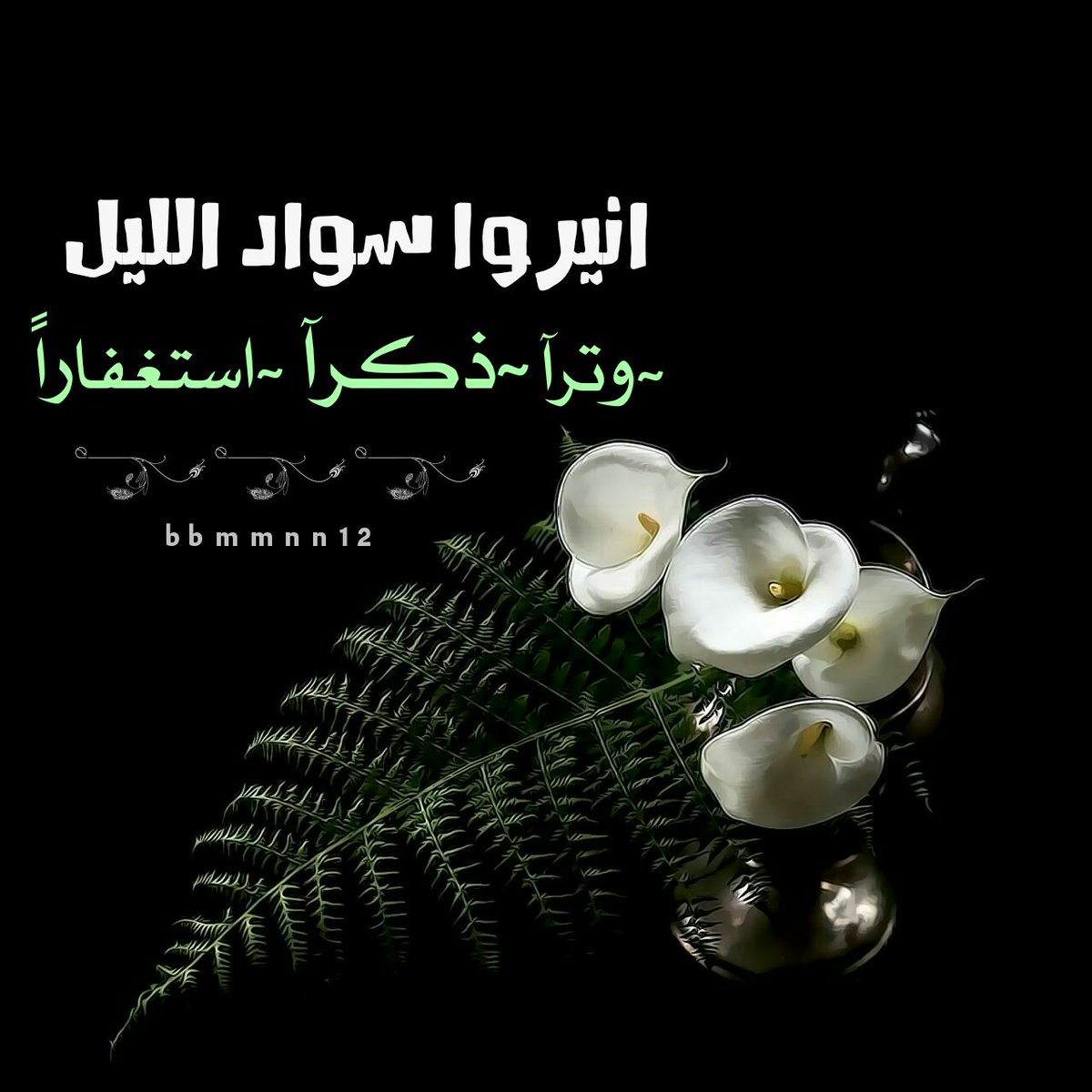bbmmnn120's tweet photo. أكثروا من ذكر الله ليلاً و نهارآ أن الله قريب يجيب دعوة المضطر ✨

#بهمتنا_سنرتقي_للقمم https://t.co/7ntcHcQ0kW