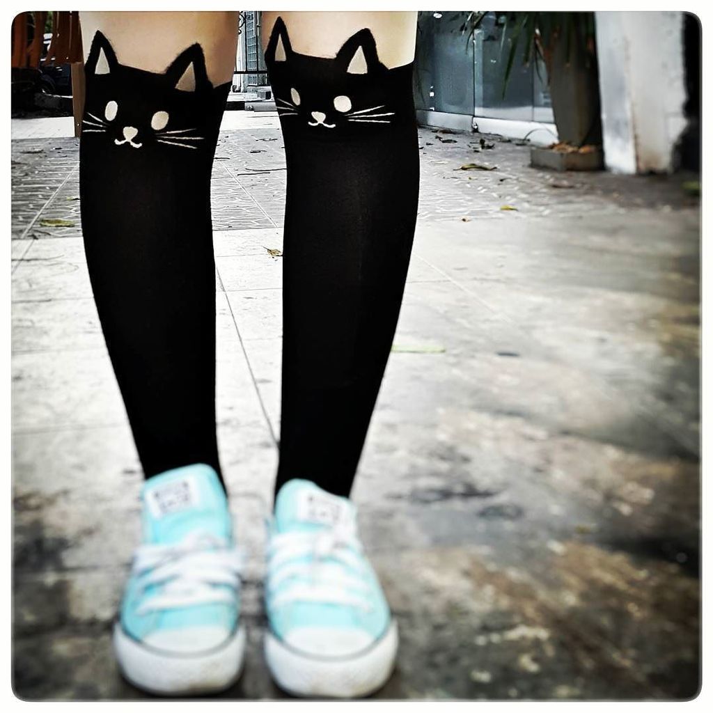 everydaymacondo's tweet photo. Cats and legs in Cali. |  Gatos y piernas en Cali. - Photo: Christian Escobar Mora @ESCOBARMORA
-
#everydaymacondo … https://t.co/ayO34IDTR8