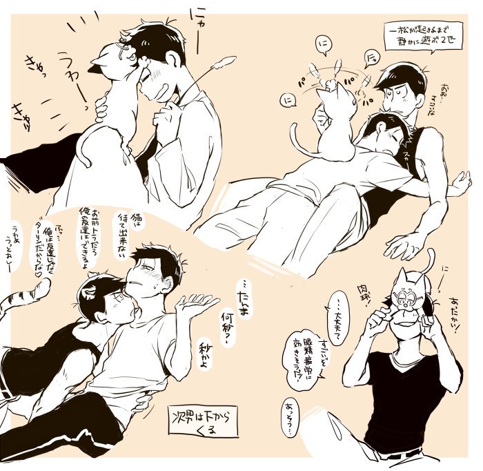 【カラ一】と、にゃんこについて。 