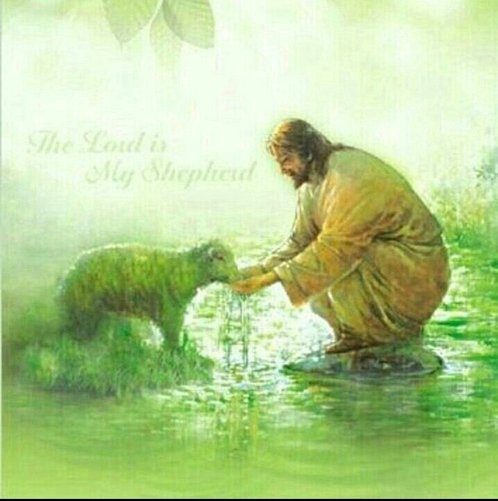 sunny park 선주 (@sunjupark3) on Twitter photo 