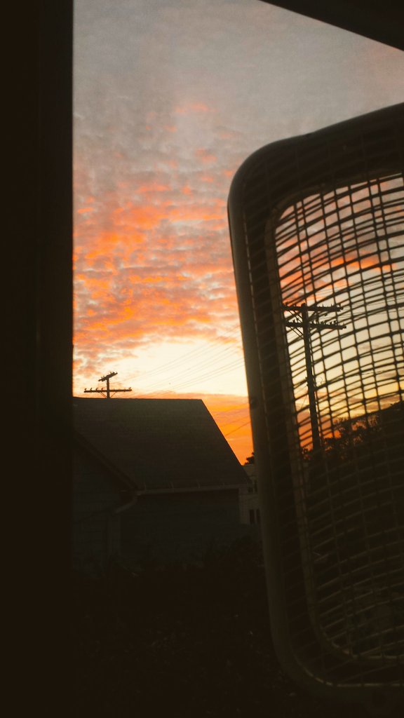 The view from my window #Clevelandbeauty #theland