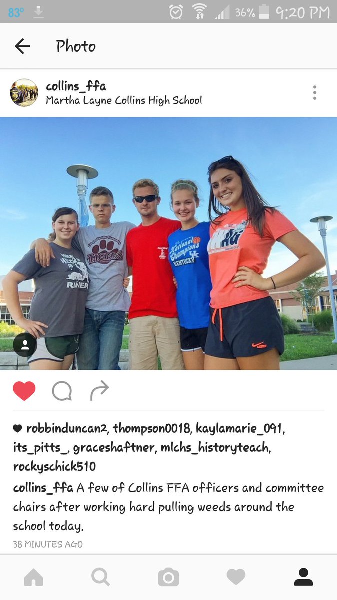 Collins FFA tweet media