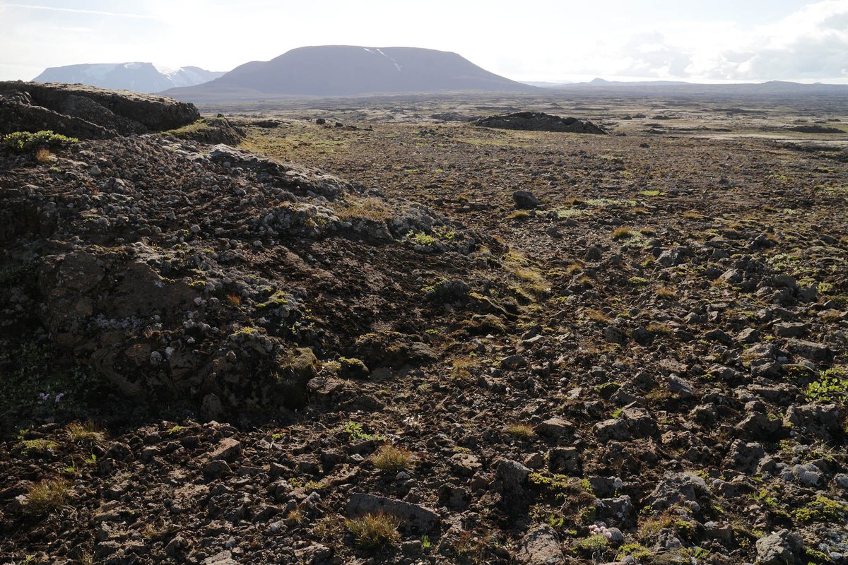 Hljodmynd's tweet photo. Recording silence at World listening day https://t.co/m6hOD9XWox #fieldrecording #WLD2016 https://t.co/AjcIxxLbvp