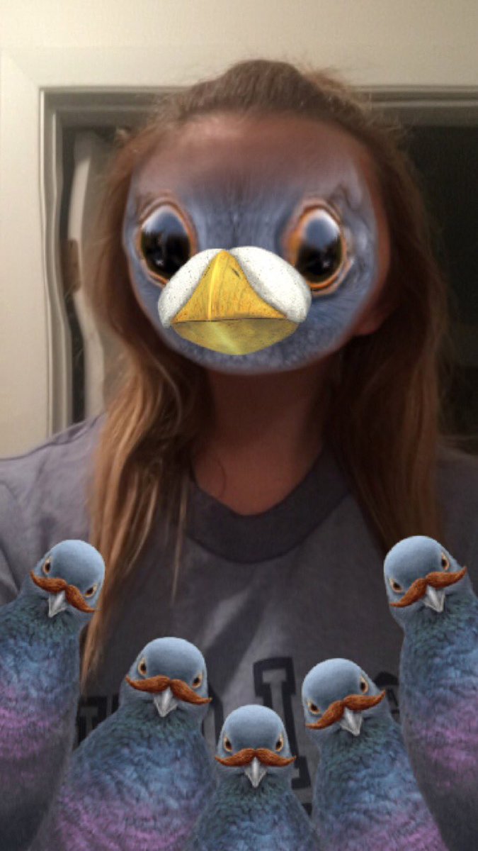 holdingonhoney's tweet photo. can you believe Jacob whitesides invented birds!!! #letsbebirds!!!!1!1! https://t.co/LNqzz6dESE