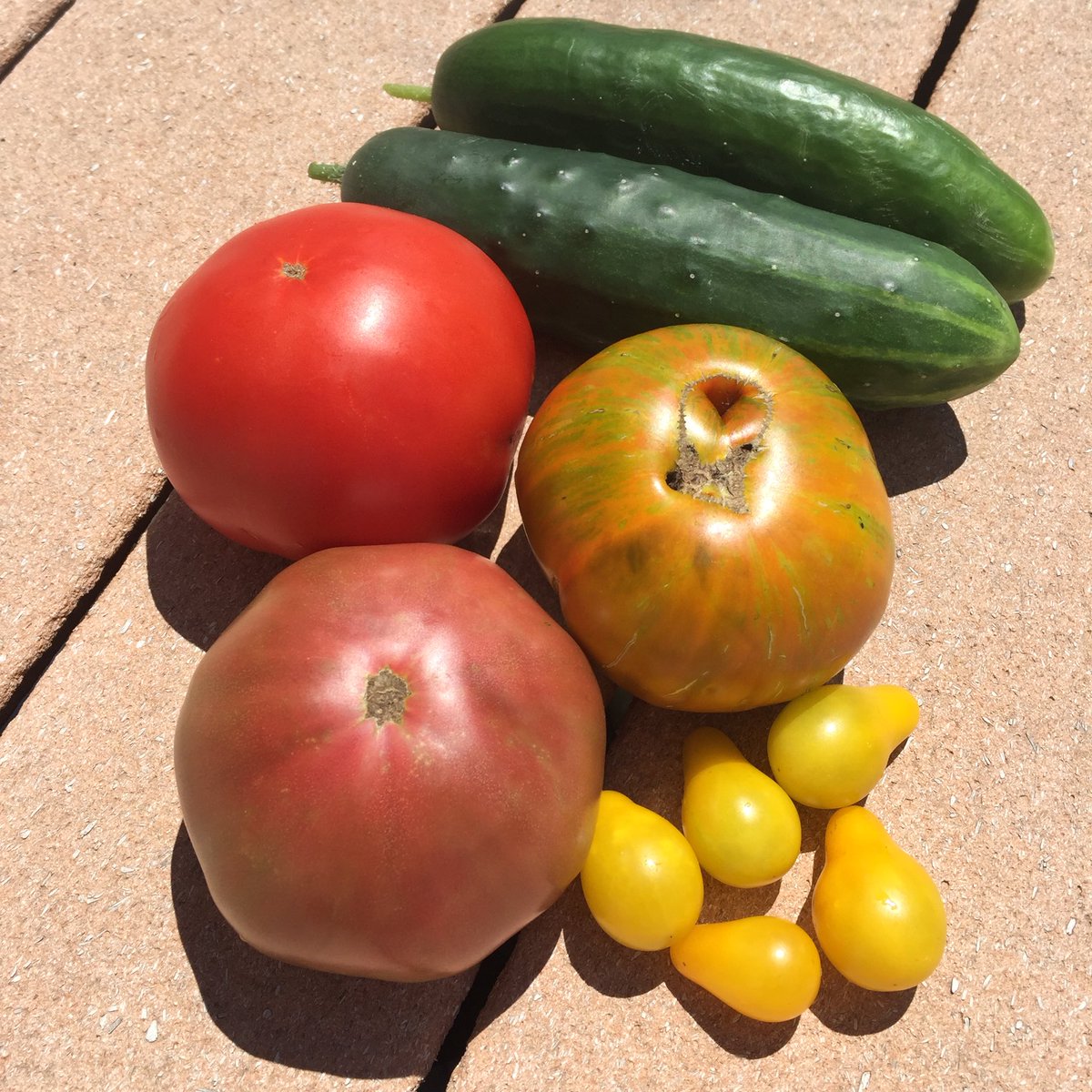 GrowEatTravel's tweet photo. Berkley Tiedye, Cherokee Purple, Whopper, Yellow Pear &amp; some perfect cukes. Garden small this year, but it's mighty! https://t.co/RocaHtKumE