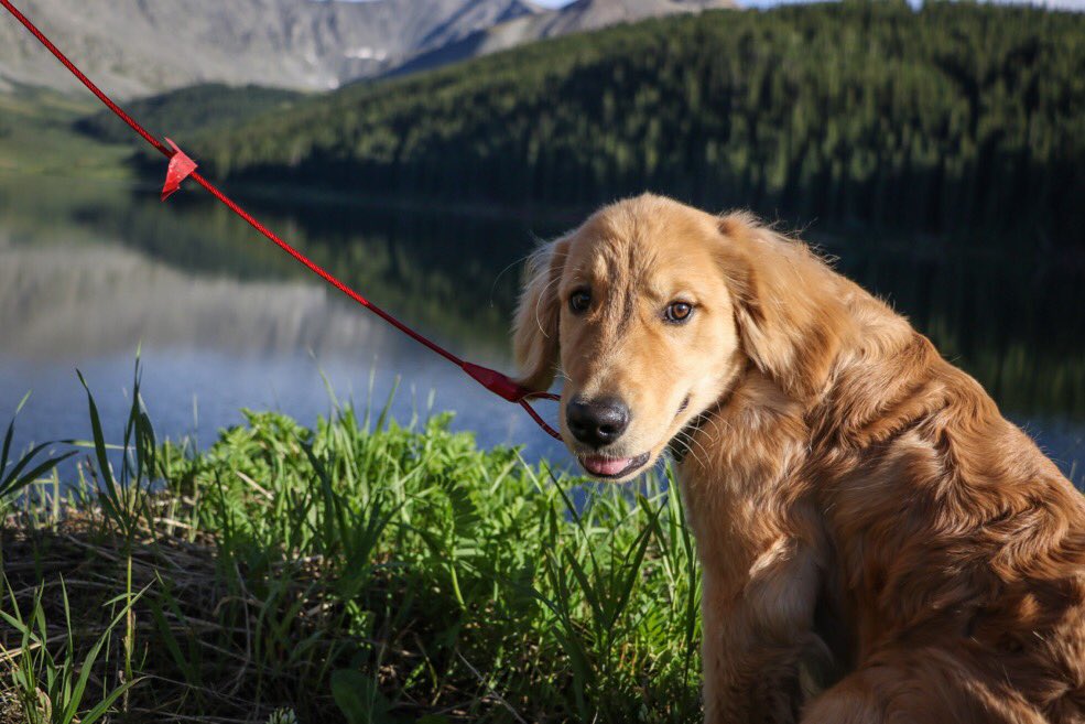 He thought the lake was pretty, I thought he was prettier #Bruce