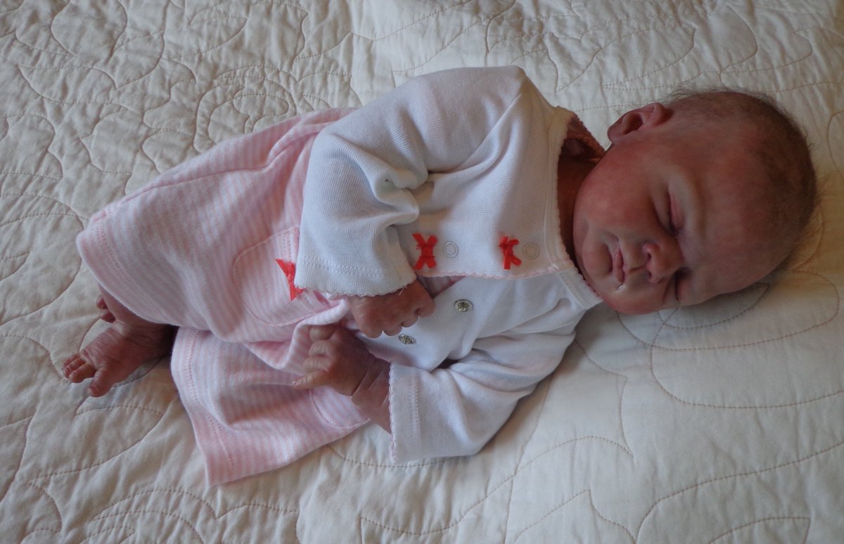 reborn doll roleplay