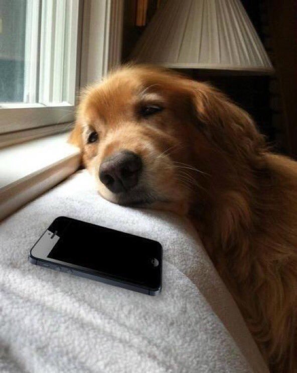 StumblerTop's tweet photo. Waiting for bae to text back like https://t.co/xaUfuXgiXz