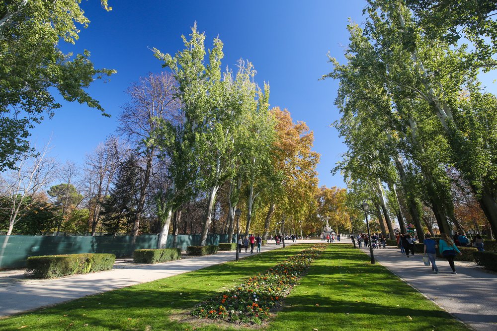 EspanaEnLatam's tweet photo. Parque del Retiro, una visita imprescindible en #Madrid
#MustSeeMadrid #visitspain
@_ElRetiro @Visita_Madrid @MADRID https://t.co/iYJlTGLq69