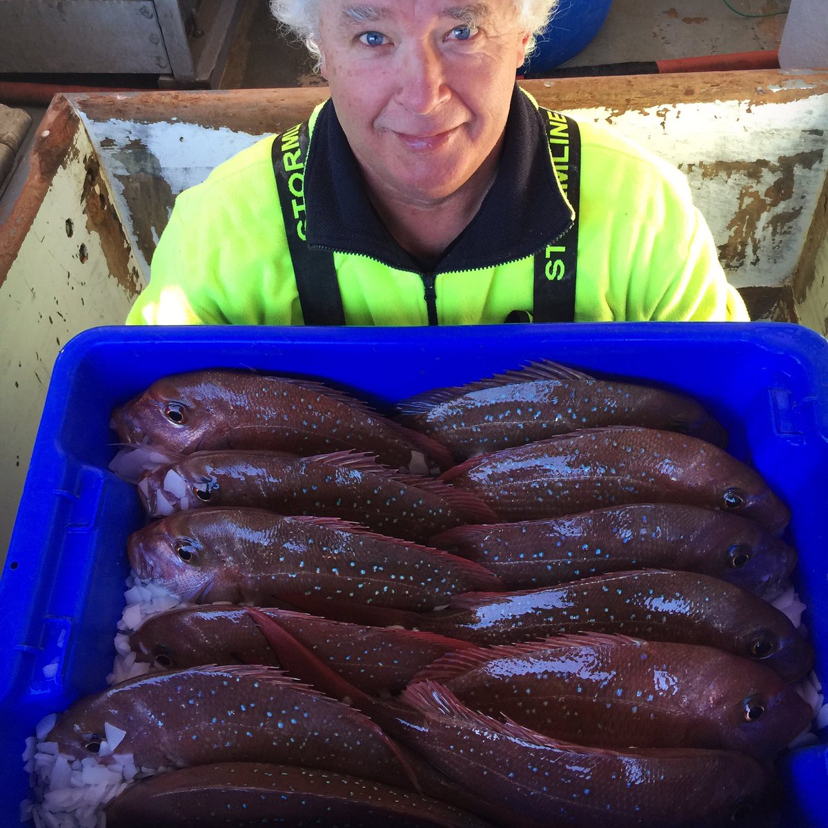 REDLineFishing's tweet photo. Absolutely pristine snapper today, not sure how we can ever do better @LeeFishNZ @LeeFishUSA @46southFishco https://t.co/6ipcnwKiR3