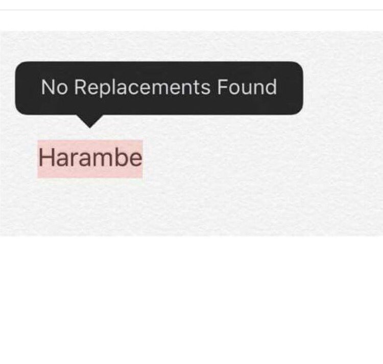 _colinlewis_'s tweet photo. Still miss my home boi Harambe https://t.co/1O5fIiZEuO