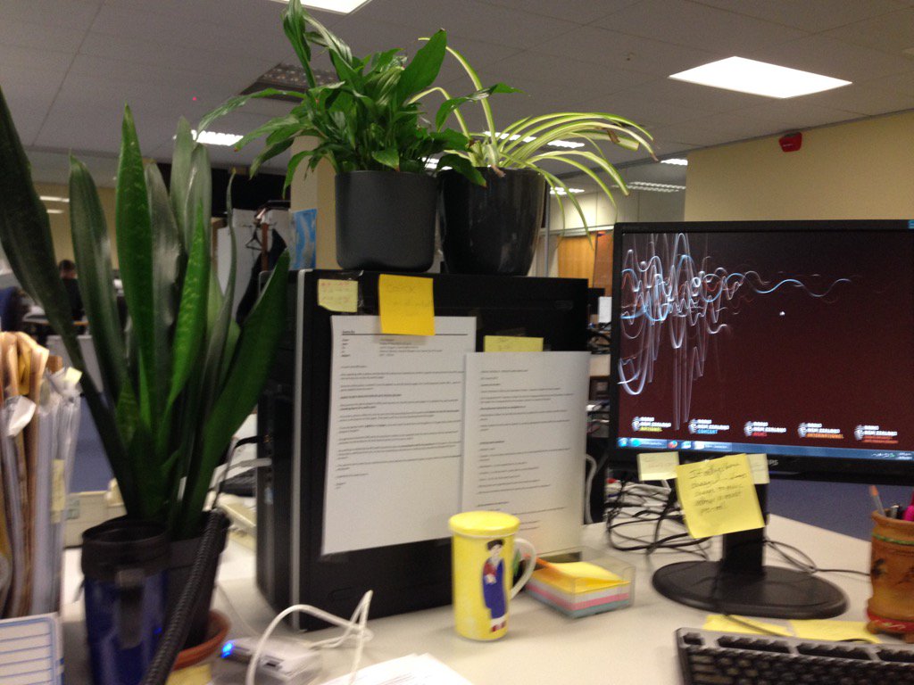 slyonthewall's tweet photo. Still searching for more plants to build my forest fortress in the open space office @radionz #creatingoxygen https://t.co/IpwKy2RK4w