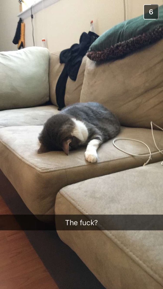 Mary Kate Kelly tweet media