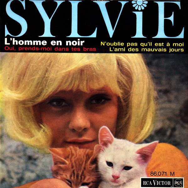 discogs's tweet photo. Happy #InternationalCatDay! https://t.co/yNLqPtjexC