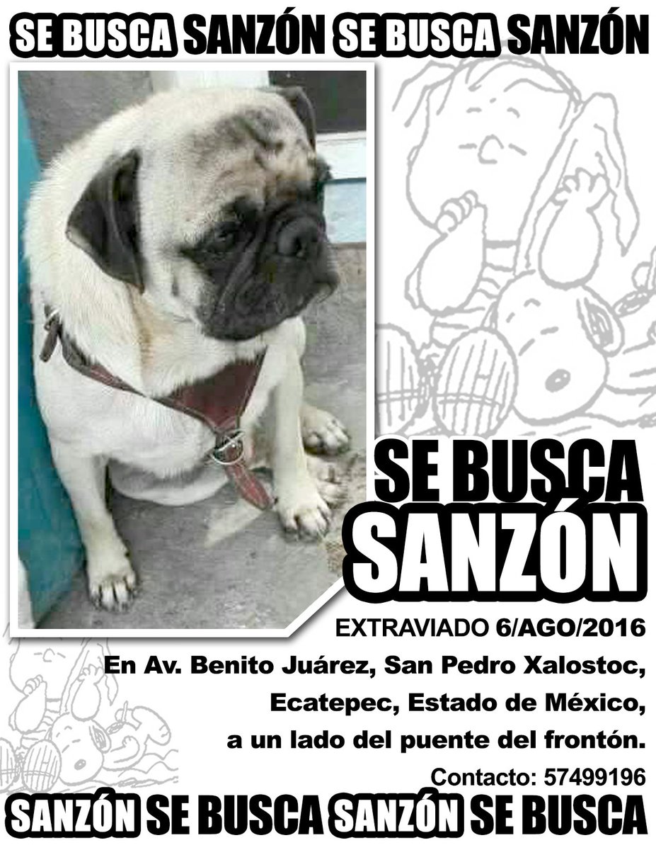 fellpudito's tweet photo. #EXTAVIADO Sanzón en #AvBenitoJuárez al lado del puente del frontón #SanPedroXalostoc #Ecatepec #EdoMéx.Ago 2016 https://t.co/rwZsECgOTR