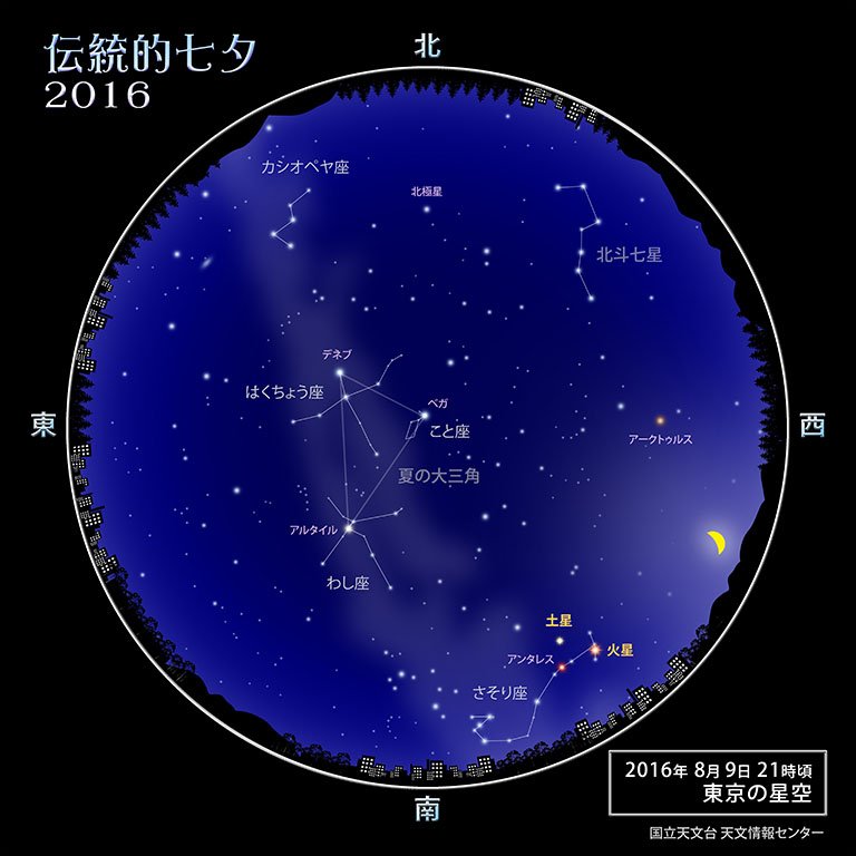 Lynxcn Lynxcn Twitter