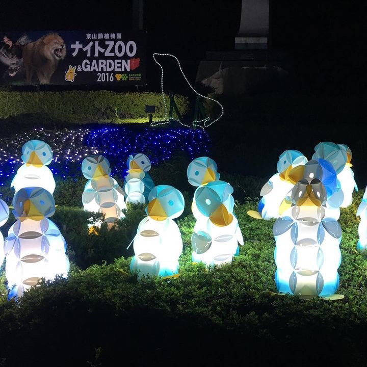 Retrip 公式 على تويتر ナイトズーデート はいかが 東山動物園で ナイトzoo Garden 開催 Retrip News T Co Irqhqyk9qv