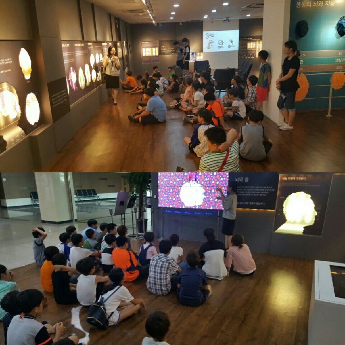 전국 최초인 성남시 "뇌 건강 체험박물관"에 작은사랑성남지역아동센터와 수정청소년수련관 아이들이 방문해주었어요. 해설사의 설명을 진지하게 경청중인 우리아이들! 뇌에 관련된 재미난 이야기 많이 해주세요
 #성남시