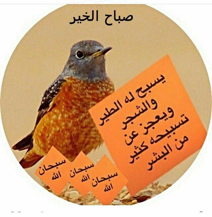 lli_245's tweet photo. https://t.co/539Sb5YLo7