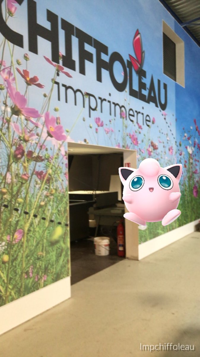 Les Pokémons ont trouvé LE lieu de villégiature parfait pour l’été à l'imprimerie Chiffoleau #PokemonGoNantes #print