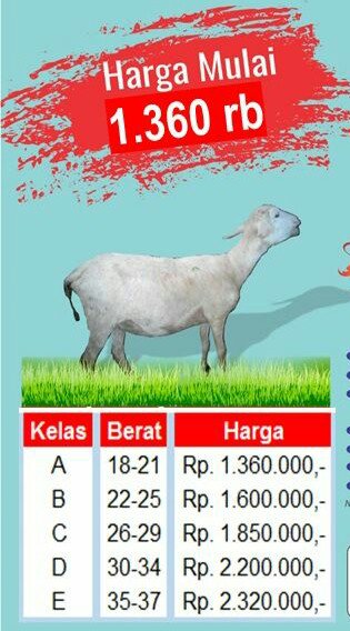 Nurul Qur'an Mulia tweet media