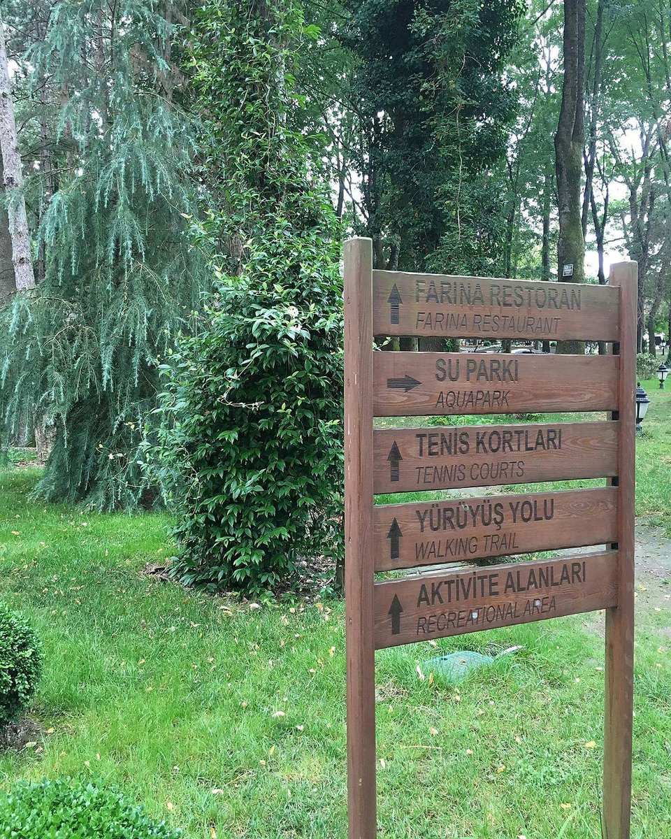 Bu Pazartesi ofisin yolunu kaybeden oldu mu?
#ngsapanca #nghotels #sapanca #gelmenlazim #monday #pazartesisendromu