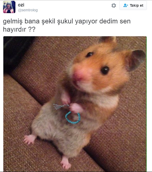 wigiplay's tweet photo. Dedim sen hayırdır?? #şekil #artistlik #hayırdır #noluyor #nabican #wigiplay https://t.co/M5cgN1inXQ