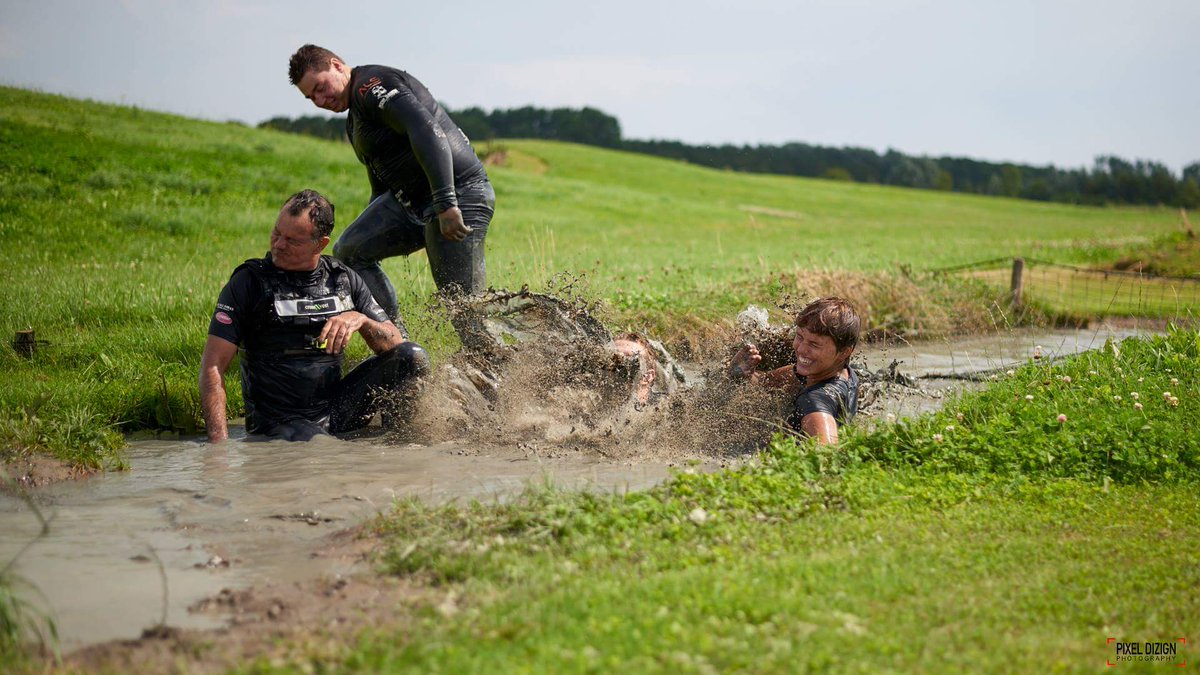 Dutch Adaptives tweet media