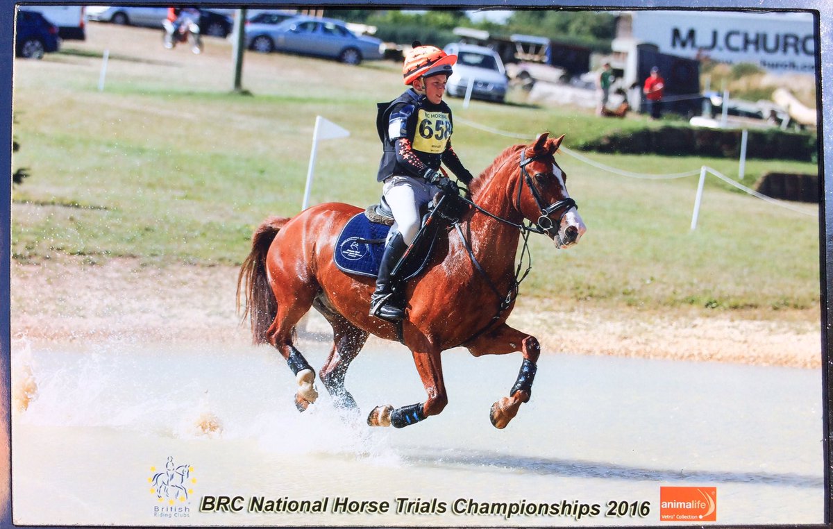 Wow! 7th at the BRC national eventing champs!!! <a href="/HarryHallRiding/">Harry Hall</a> <a href="/nikwax/">nikwax</a>  he is the best!!