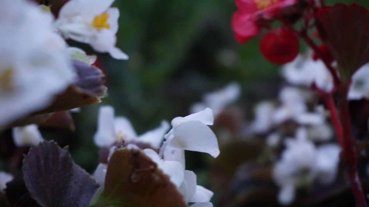 ExitcodePhoto's tweet image. 
