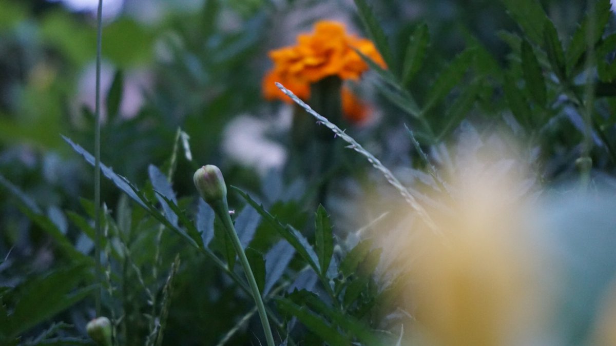 ExitcodePhoto's tweet image. 