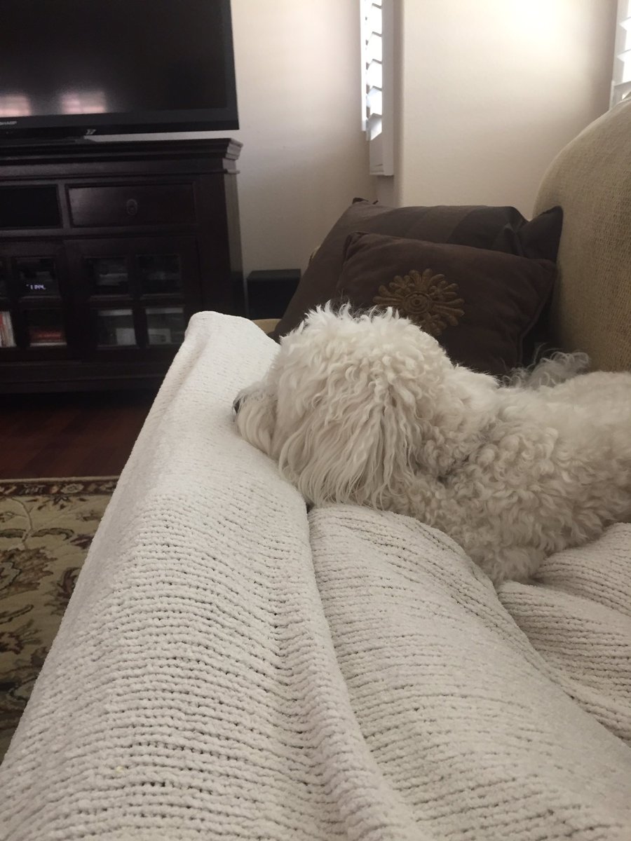 drizzykinks's tweet photo. sleepy: a series https://t.co/08d3iMtgHc
