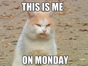 Marc__Gil's tweet image. Once again...... #mondaymotivation