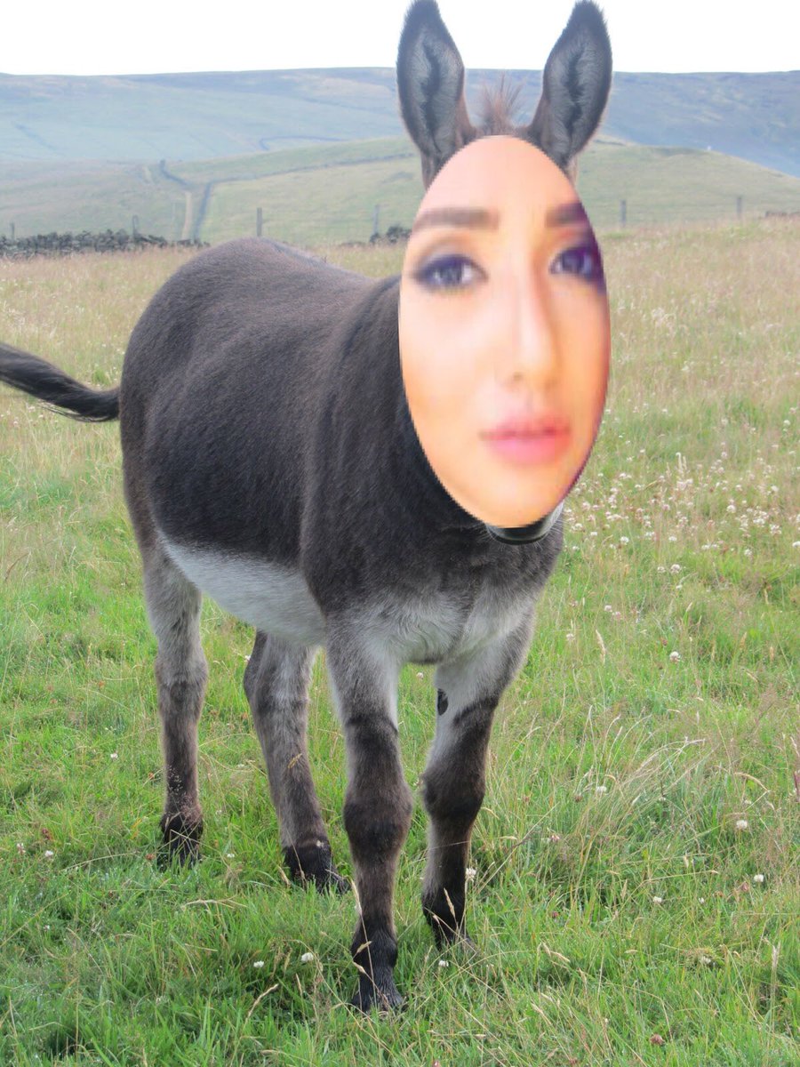 متعب tweet media