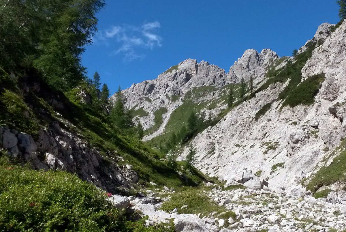 MauSbogar's tweet photo. Verso la #CretaForata 

NATURA INCONTAMINATA E SPLENDIDA

#Sappada #Dolomiti @DolomitesUNESCO @SappadaPlodn https://t.co/DWvQIVCYwc