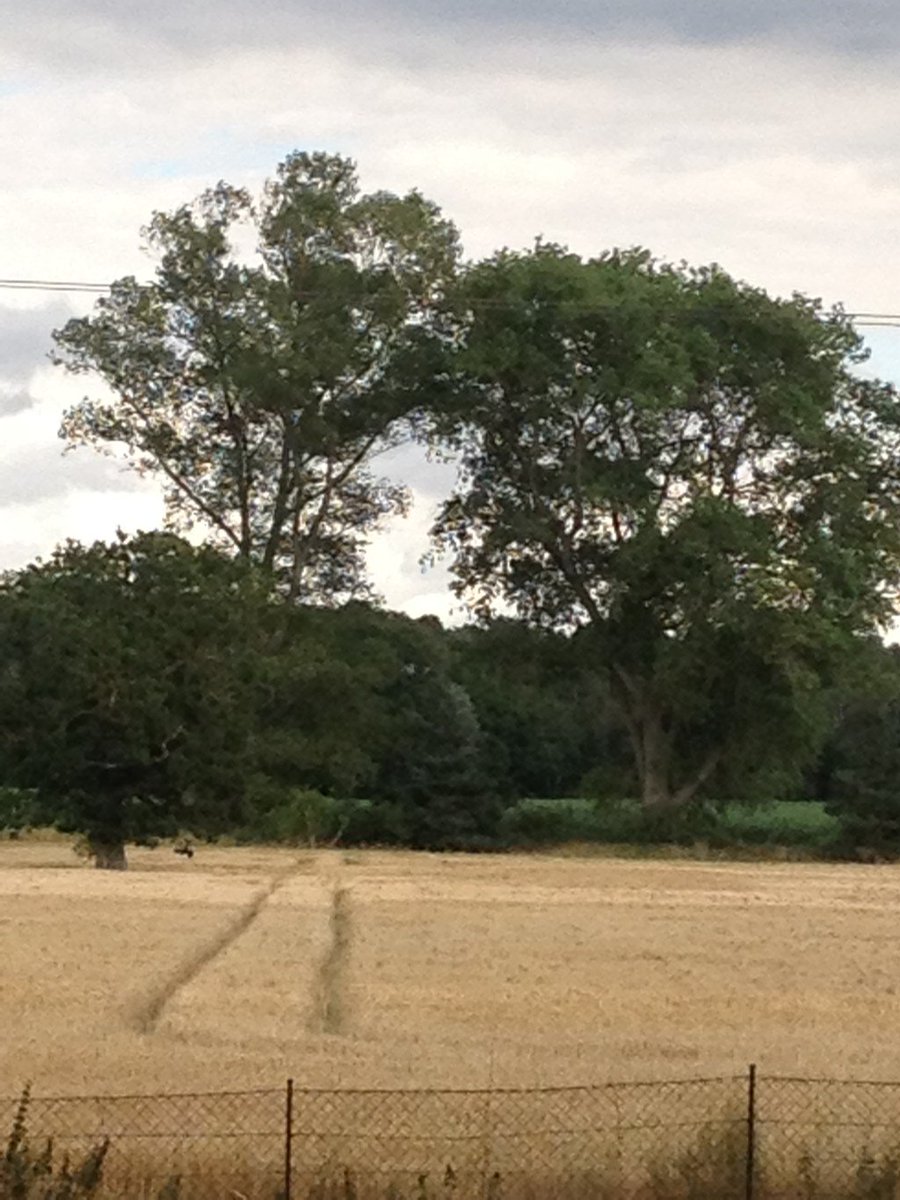 SAFDelivery's tweet image. Relationship with our Satellite Navigation System gps.safeandfastdelivery.com/relationship-w…