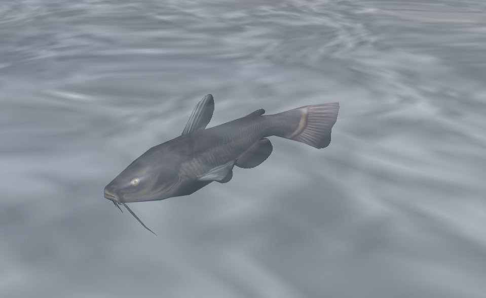 animationstest-heavymist.rhcloud.com/catfish - preview of catfishs animations #gamedev #indiegamedev #indiedev #indiegame #webgl #threejs