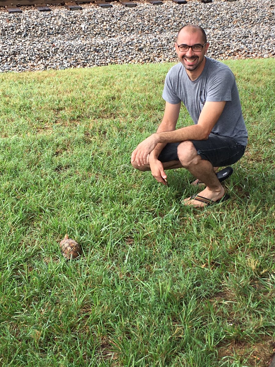 ahearonw's tweet photo. This person helped me save a turtle crossing the road in downtown Waxhaw just now! #RAK #everydayhero #joyagent https://t.co/svnFsWFaYh