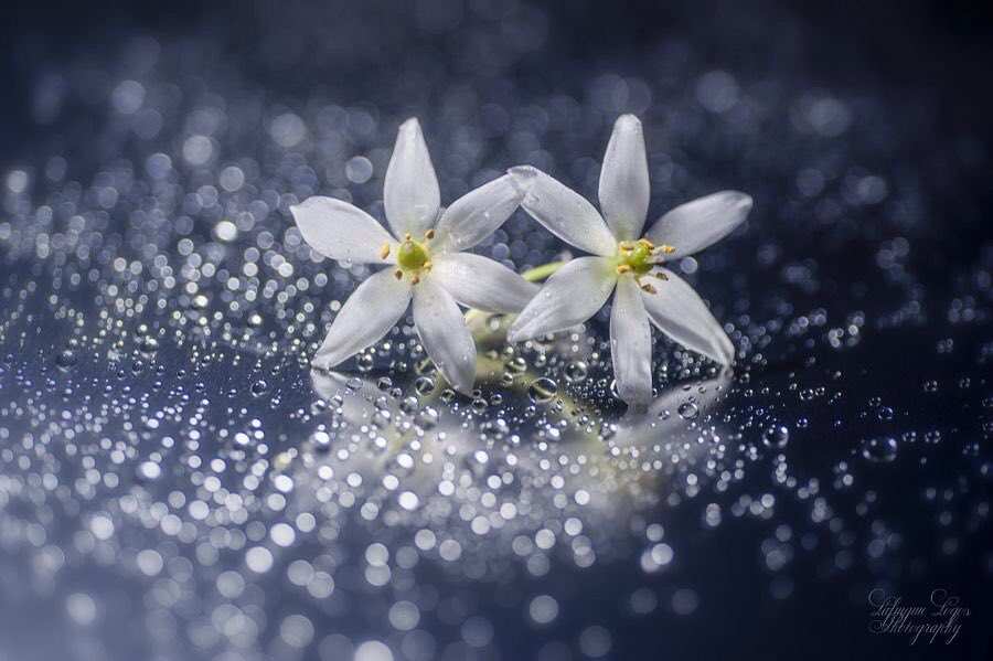 Forgive others, not because they deserve forgiveness,
But because you deserve Peace.

Pic L Logos