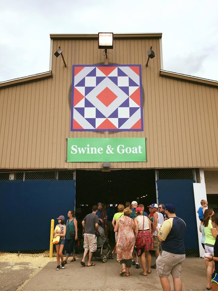 Quilt Expo (quiltexpo) Twitter