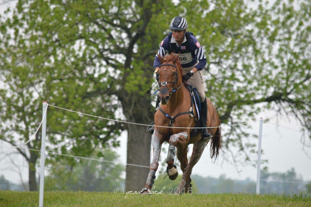 Gracewell17's tweet photo. CLEAR with just 3.2 time penalties for @WindurraUSA and Blackfoot Mystery!! #OTTBpower #EquestrianEventing 🇺🇸 https://t.co/rlUUQFB40K