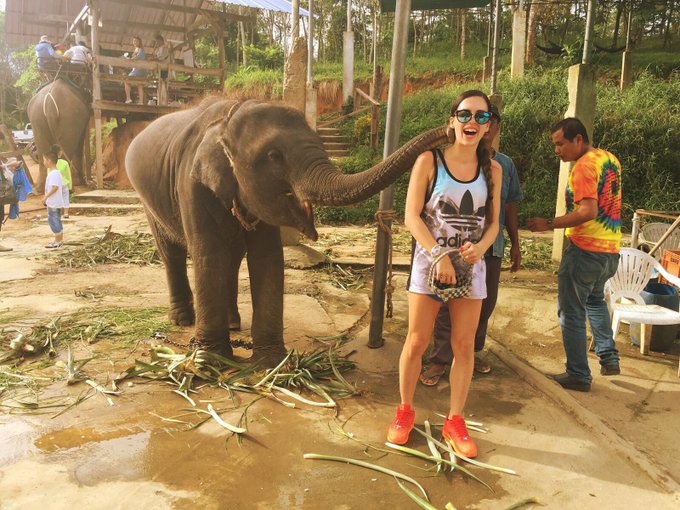 Today I met nelly the elephant #love #elephant #Thailand and she gave me a #kiss I wish I could give<a href="/tag/love"class="tags">#love</a><a href="/tag/elephant"class="tags">#elephant</a><a href="/tag/kiss"class="tags"><span>#kiss</span></a><a href="/tag/freedom"class="tags"><span>#freedom</span></a><a href="/tag/thailand"class="tags"><span>#thailand</span></a>
