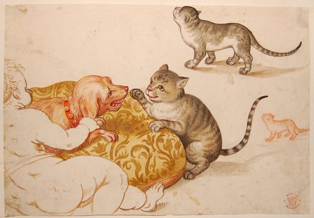 Happy #InternationalCatDay – here some of our favourite felines in the Museum! ow.ly/qz4f302Jkmd