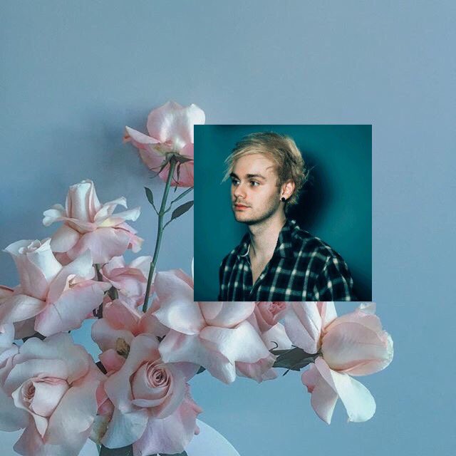 Hi my sunshine <a href="/Michael5SOS/">michael clifford</a> I love you so much 🌸🌸🌸  If you are punk !!! You must be follow me Michael Clifford 🌸🌸LoL