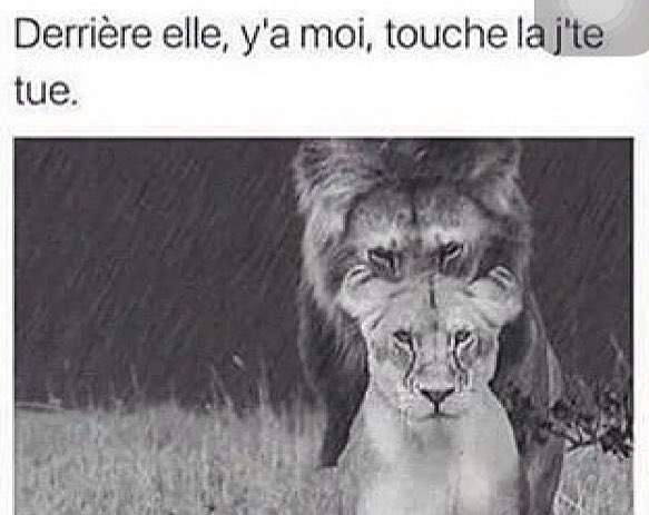 wiame212's tweet photo. Derriere moi y as mon mur touche le tu te defonce le poinget 😂 https://t.co/Z8O9yOYcyW