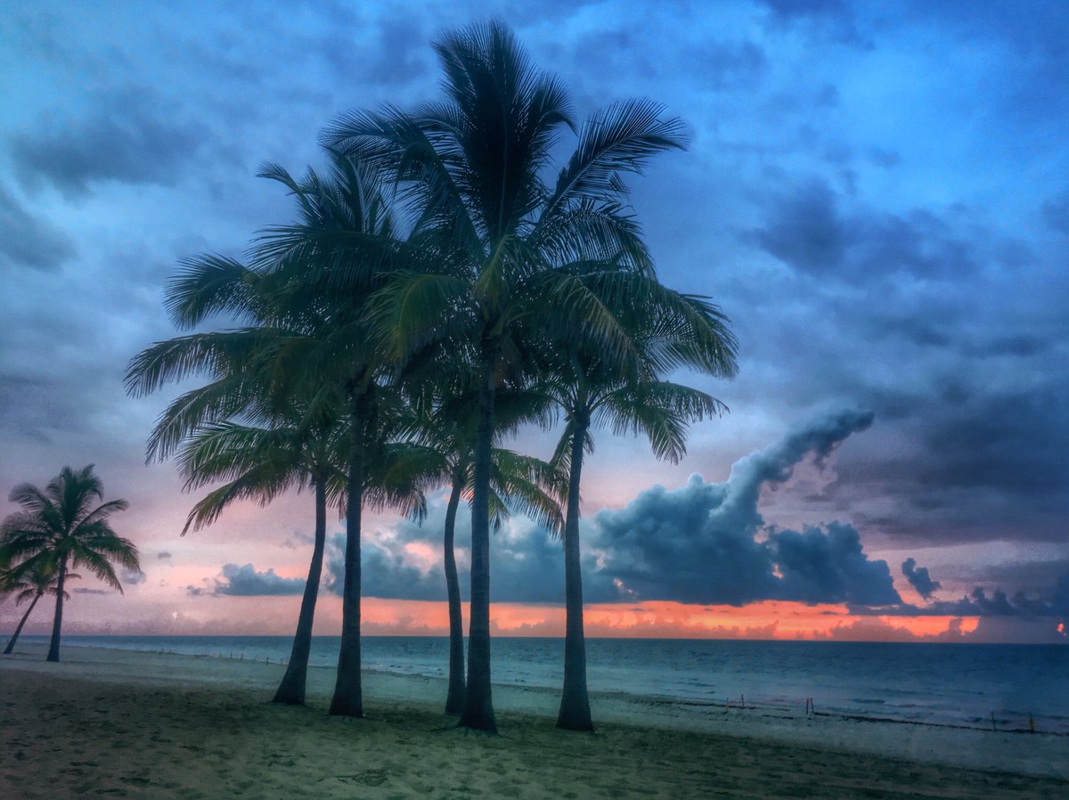 FtLauderdaleSun's tweet photo. Fab Five as the colors fade to gray. https://t.co/BM7v2ql688