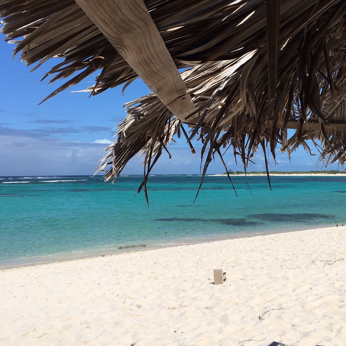 supstjohn's tweet photo. hello, anegada! #stjohn #usvi #anegada #anegadabvi #bvi #daytrip #charter #rockhoppinusvi #supstjohn https://t.co/p56GugS6qO