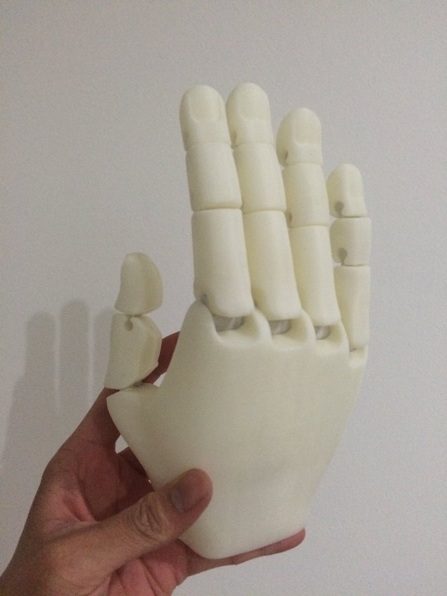 Aneka3D's tweet photo. Flexy hand 2 in progress - one hand at a time
eSUN ABS Natural + Flexible
Source @gyrobotuk
#raise3d #3dprinting https://t.co/E7LIAWDsXl