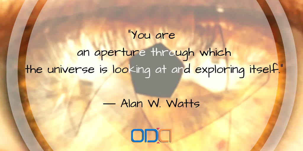 ODAlternatives's tweet photo. Through you the universe is exploring, explore yourself too! explore@ https://t.co/4nIvqhRIa5 
#leadership #coaching https://t.co/26FopJRRDQ