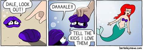 MadebyLiene's tweet photo. Haha funny &amp; sad at the Same time 😂 #arielle #mermaid #fun #cartoon #the100 #humor  #pechkeks @MisElizaJane so what https://t.co/5nOjbbOehl